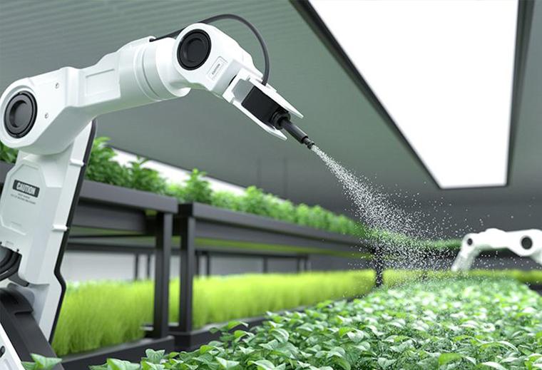 2024最新智能灑水管家，照顧您植物的最佳選擇