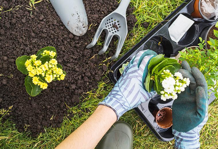 數位園丁：智慧園藝監控系統 - Dr. Home 智住大師